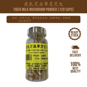 Wellness Corne 虎乳芝虫草灵芝丸 疫后调理 补肺止咳 调节免疫系统 Tiger Milk Mushroom Capsules (120粒Caps)
