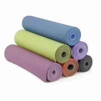 Gym Exercise Yoga Mat 6mm