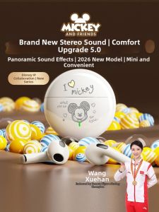 ROEL-PLAY | Noise Cancelling Comfortable Wear High Fidelity Bluetooth Headphones