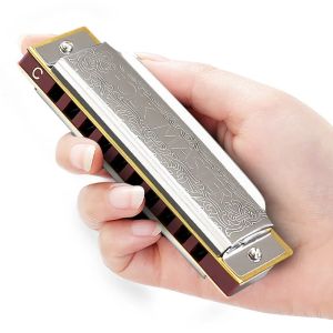 C major 10-hole bronze harmonica blues harmonica with case suitable for beginners and children