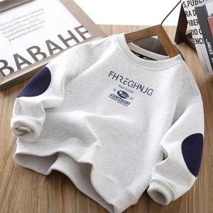 Boys Casual O-neck Sweatshirt Autumn Spring 2026 New Kids Tracksuit Childrens Fashion Long-sleeved Teenager Handsome Pullover