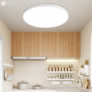 PAIMIJI | Antifog And Insect Resistant Ceiling Light