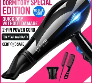 JIAXU | Negative Ion Silent High Power Hot Cold Air Hair Dryer