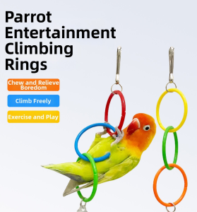 VOA | Parrot Toy Bell Mirror