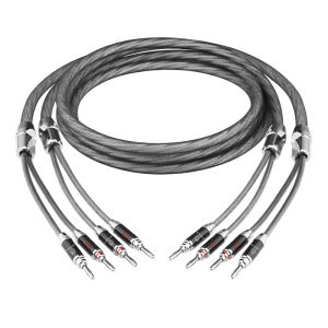 ERUMPENT One Pair HiFi Silver-plated Speaker Cable High Purity OCC Speaker Wire With Banana Plug For HiFi System Amplifier Cable