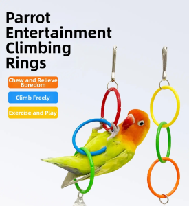 VOA | Parrot Toy Bell Mirror