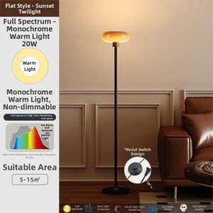 ZHUOLESHI | Vintage Aesthetic Luxury Floor Lamp