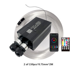 Optic Lighting Smart APP Twinkle Fiber engine RF Voice control Cable Starry Effect Ceiling Double Heads Lights lamp Key new LED