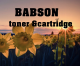 Babson.id