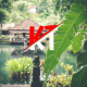 Kings Terpal Murah