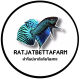 RATJATBETTAFRAM