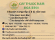Cây thuốc nam HB