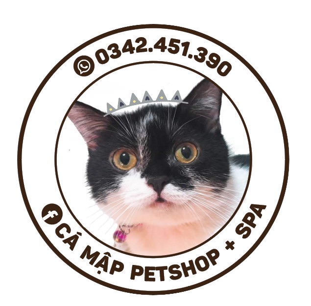 CÁ MẬP CATTERY PETSHOP