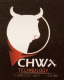 CHW technology computer