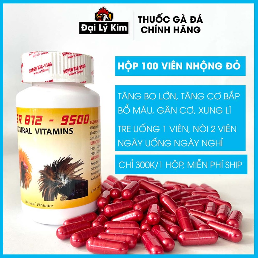 Dinh Dưỡng Cho Gà - Đại Lý Kim