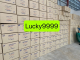 Lucky9999