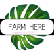 FARM HERE