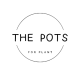THE POTS For Plant