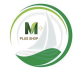 M Plus Shop2