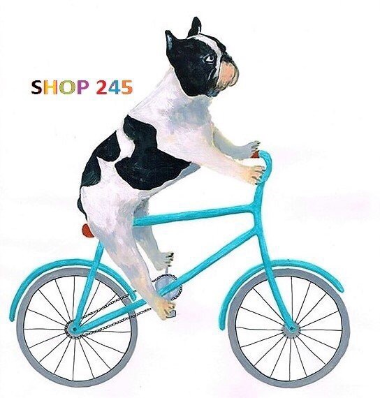Shop 245