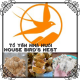 Tổ Yến Nhà Nuôi House Bird's Nest