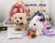 Gaukids_shop