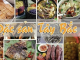 Thương tây bắc 95