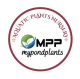 Mypondplants