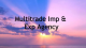 Multitrade Imp Exp Agency