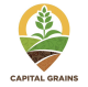 Capital Grains