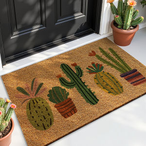 Household Entrance Door Mat Color Printing Outdoor Scraping Mud and Soil Anti Slip Foot Mat