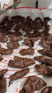 Choco Pusit Tuyo de Capiz