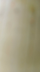 gantungan kunci motif laut mini dan besar souvenir termurah untuk hadiah