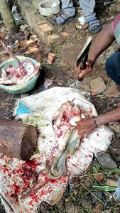 kampak pencacah tulang sapi/bambu khusus spek keras