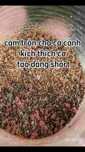 10g cám trộn cho cá cảnh tạo dáng short