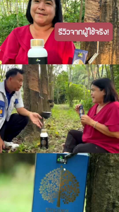 4Tree 1ซอง อะมิโนแบล็ค ขนาด 1 ลิตร 1 ขวด ชุดบำรุงยางพารา ไหลรัวๆ พร้อมฟื้นฟูต้นยาง 📌หน้านิ่ม กรีดง่าย 📌น้ำยางไหลดี 📌มีเปอร์เซ็นต์สูง 📌แก้หน้ายางตายนึ่ง