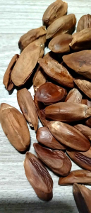 Bicols Raw Pili Nut without Shell - Available in 100g 500g and 1kg