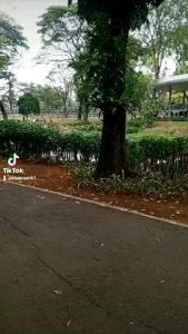 MIE LIDI LUMER COKLAT PREMIUM KEMASAN BOX 500ml