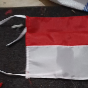 Bendera Palestina Tangan Isi 20pcs: Panduan Lengkap