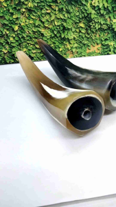 once cangklong tanduk kerbau segi 8 semi jumbo B9