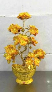 Cây tài lộc mẫu mới