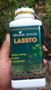 phân bón Lassto 1lit