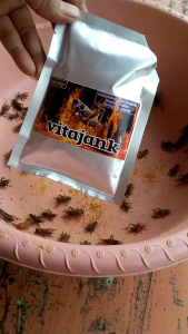 Vitajank Makanan & Muktivitamin Jangkrik
