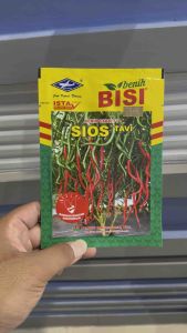 Benih Cabai F1 - SIOS TAVI 10gram - Cap Kapal Terbang
