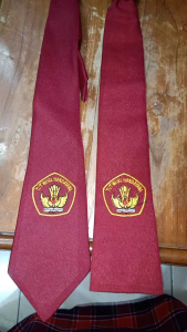 Dasi SD Panjang Bordir Perekat: Tips & Panduan