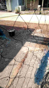 jaring pagar lapangan voli 6 m x 25 ketebalan 25 mm