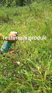 Cairan Pembasmi Rumput Liar & Gulma/Herbisida/Rumput Mati Sampai Akar/1LITER+500ML