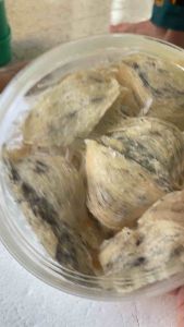 [HCM]- Yến Sào- 10gr Gốc yến chưa nhặt lông- 100% thiên nhiên- Kèm táo đỏ  đường phèn hạt chia