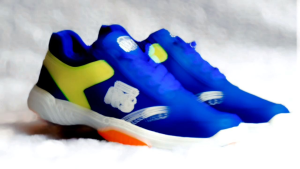 Sepatu Bulutangkis RS Agronomic Premium Ngak Licin