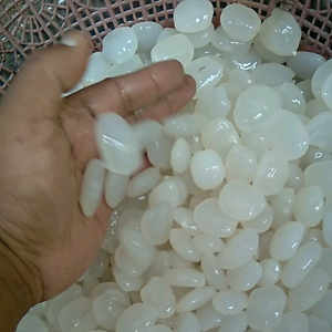 Kolang Kaling 1 Kg Gratis Ongkir